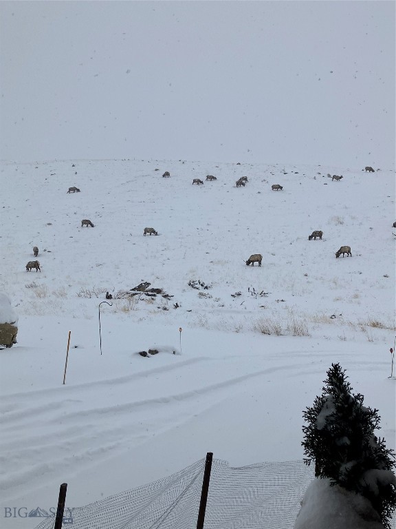 Minor Subdivision - Residential