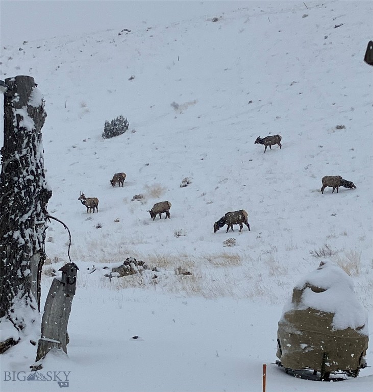 Minor Subdivision - Residential