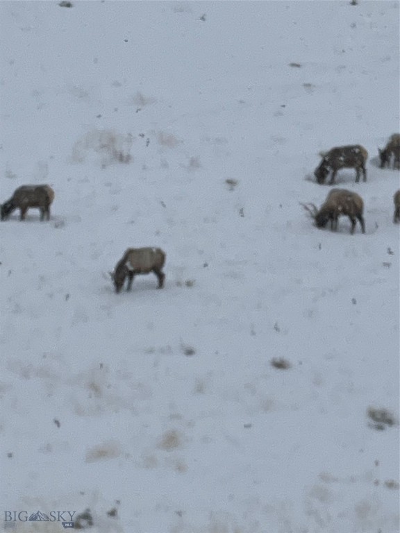 Minor Subdivision - Residential