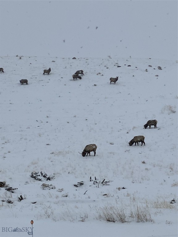 Minor Subdivision - Residential