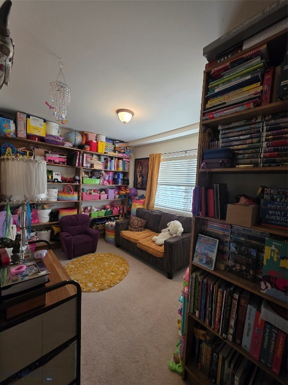 Minor Subdivision - Residential