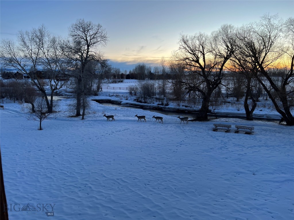 Belgrade, Montana 59714, United States, 4 Bedrooms Bedrooms, ,5 BathroomsBathrooms,Residential,Active,125296