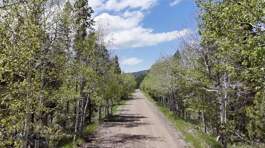 Stretch out on five full acres of timbered ground in Moonbase Woods — a private homesite with beautiful views, open forest, and excellent sun exposure. This spacious lot sits on a gentle slope ideal for a walk-out design and has underground power to the property line. A short walk leads you directly into thousands of acres of public National Forest, or head just down the road to the 8-acre public parkland featuring trails, a stream, benches, and a vibrant beaver pond ecosystem. Great roads maintained year-round by the county. You’ll regularly encounter deer, elk, moose, black bears, beavers, and all kinds of native songbirds right on your property. Located only 15 minutes from Old Works Golf Course, 20 minutes to Discovery Ski Area, and 10 minutes to Georgetown Lake, this lot offers unparalleled access to nature and adventure.