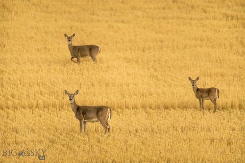 Photo of TBD Skinner Rd, Belgrade, MT 59714 (MLS # 411401)