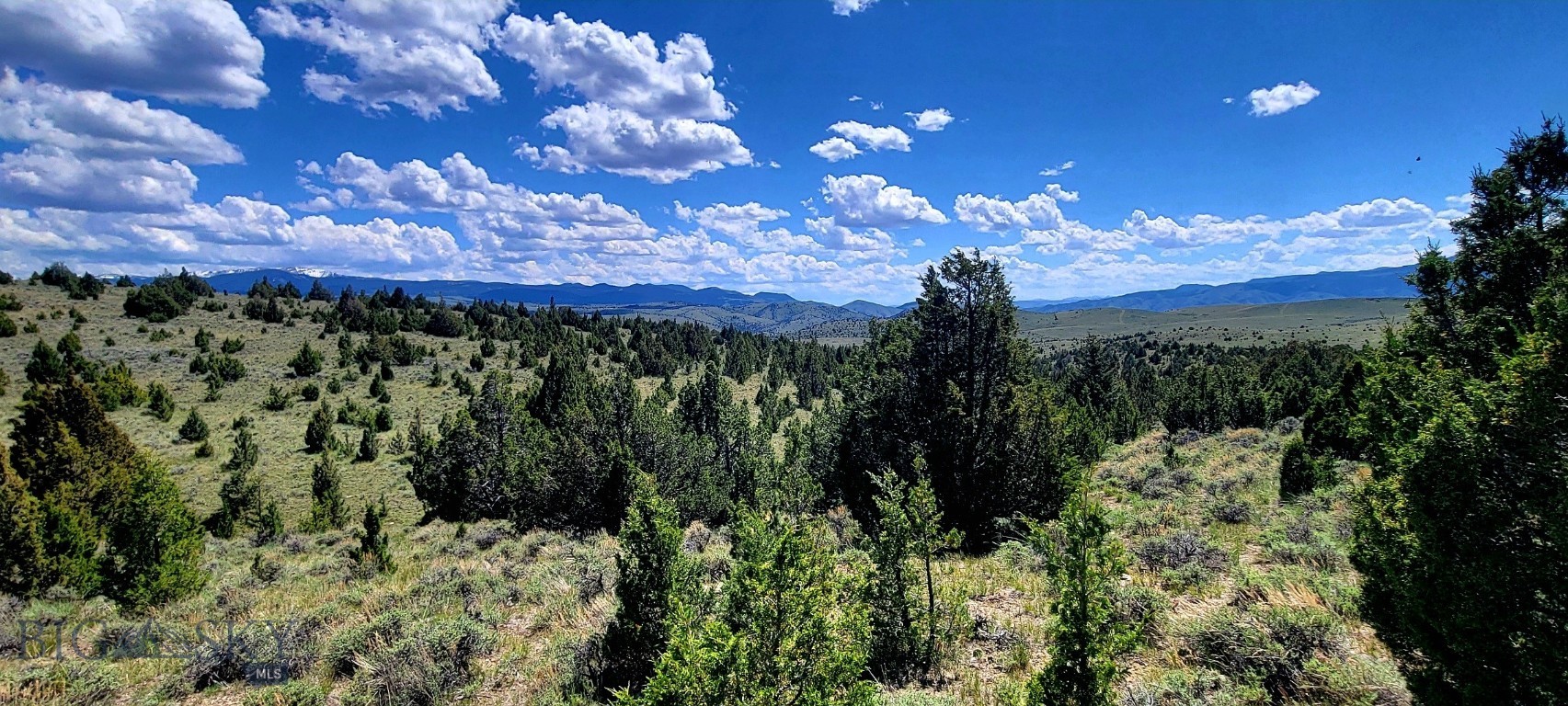 Looking for peace and quiet, just a place to get-away from it all. This property provides privacy, amazing views and just over a 1/4 of frontage with BLM. The adjacent BLM property provides more space to explore, hike or hunt. There is an access easement at the NW area for the property to an exceptional building/cabin location. A secondary roadway use option is available to the east side of the property. Nice southern exposure is ideal for off-grid system. This property is nestled in the Tobacco Root Mountains located between Alder and Virginia City Montana. Call for more information or a showing.
