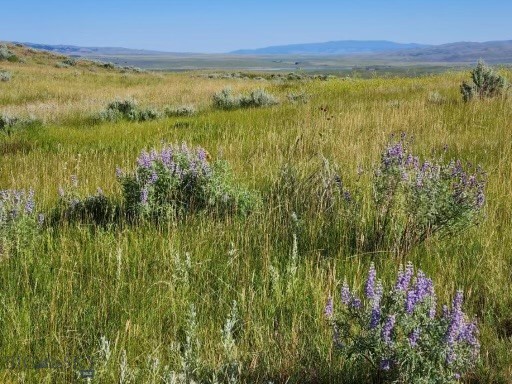 TBD Old Flathead Creek Road-Parcel A1