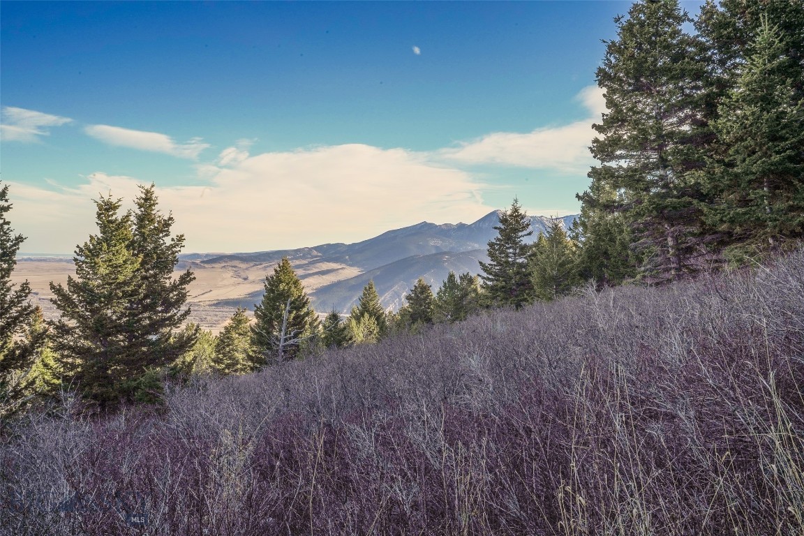 Yellowstone Basin Properties - Land