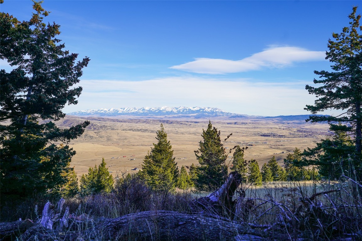 Yellowstone Basin Properties - Land