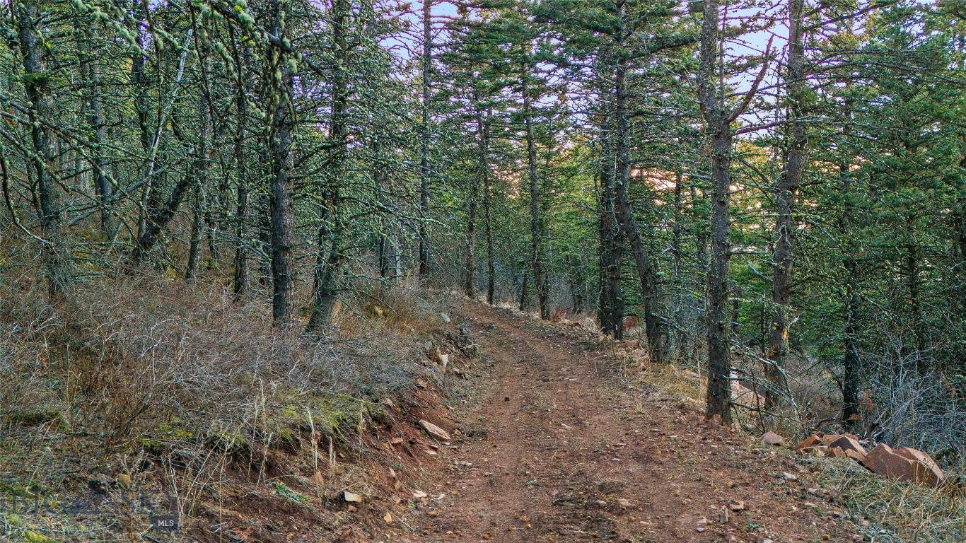 Yellowstone Basin Properties - Land