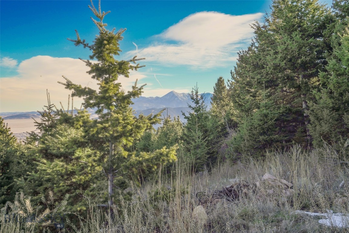 Yellowstone Basin Properties - Land