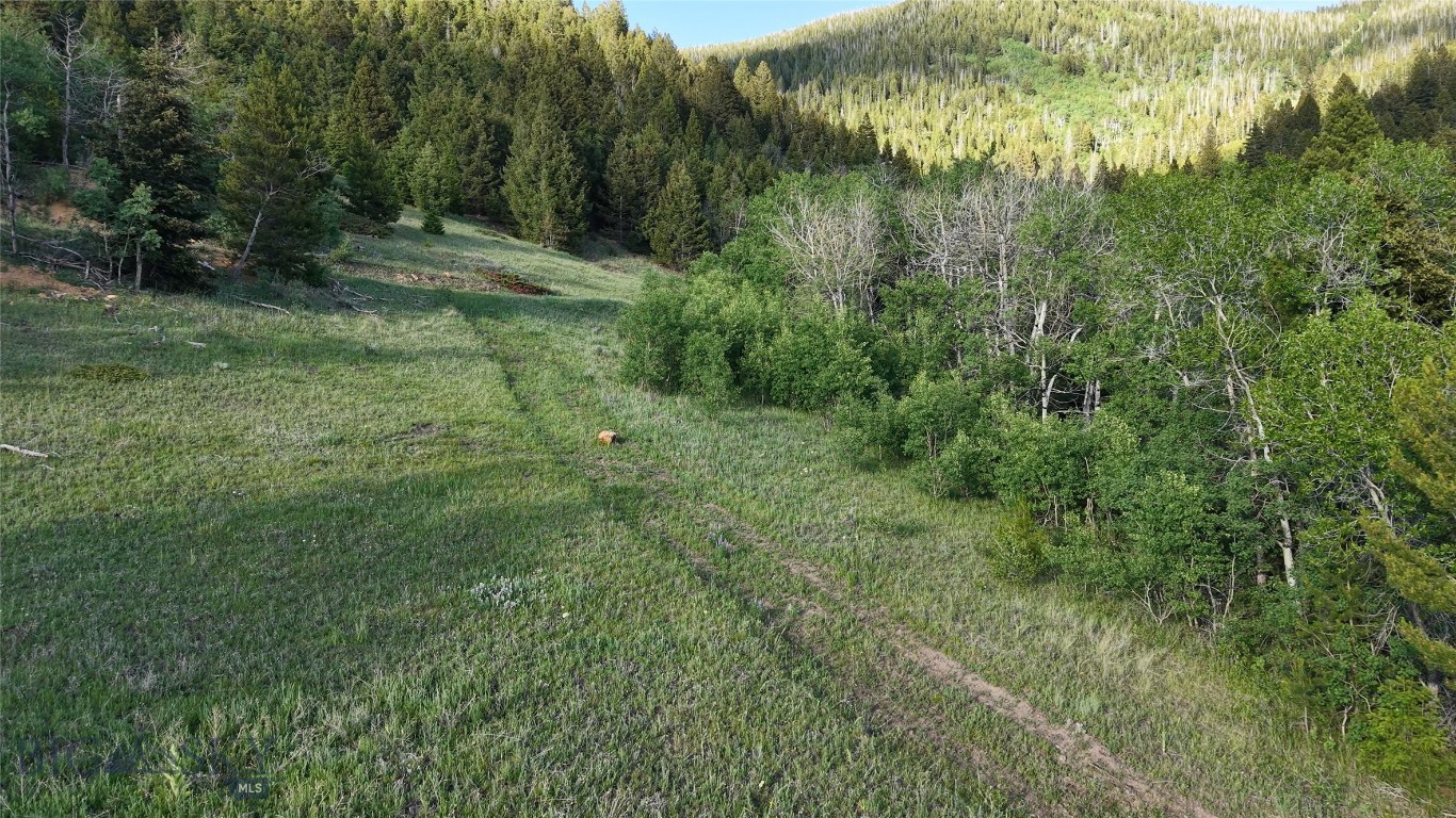 Just outside of Butte, Montana, this 112-acre parcel which is a smaller part of the original Horse Canyon Retreat offering which offers a mix of timber, aspen groves, and open meadows with views of the Highland Mountains and valley. Springs and Douglas Fir provide excellent wildlife habitat, attracting elk and deer throughout the seasons. A solid internal road system allows easy access to multiple building sites, with power available and septic approval already in place. Free of covenants or restrictions, this tract is ready for a wide range of uses, whether as a mountain retreat, recreational basecamp, or private getaway within minutes of town.