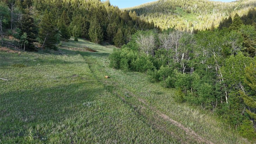 Just outside of Butte, Montana, this 112-acre parcel which is a smaller part of the original Horse Canyon Retreat offering which offers a mix of timber, aspen groves, and open meadows with views of the Highland Mountains and valley. Springs and  Douglas Fir provide excellent wildlife habitat, attracting elk and deer throughout the seasons. A solid internal road system allows easy access to multiple building sites, with power available and septic approval already in place. Free of covenants or restrictions, this tract is ready for a wide range of uses, whether as a mountain retreat, recreational basecamp, or private getaway within minutes of town.