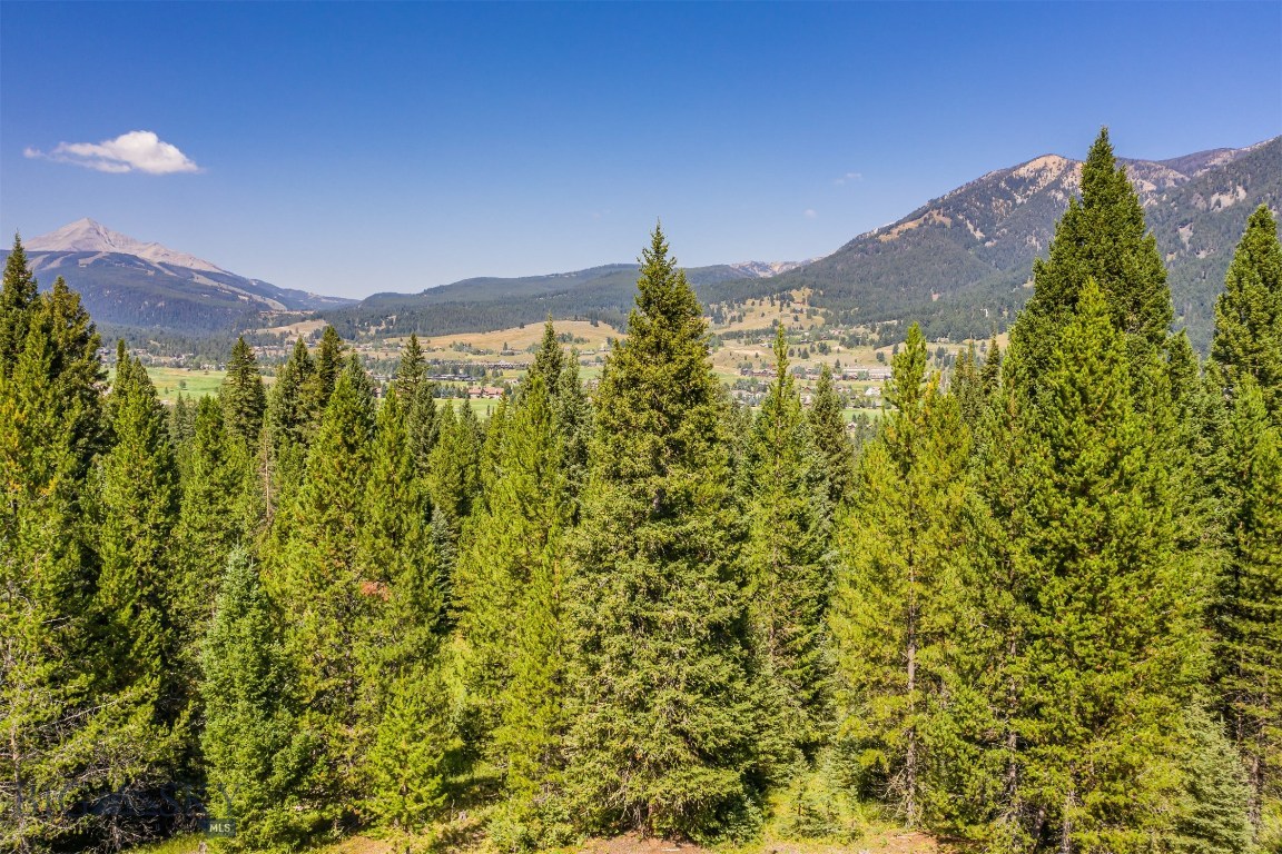 Skywood Preserve - Land
