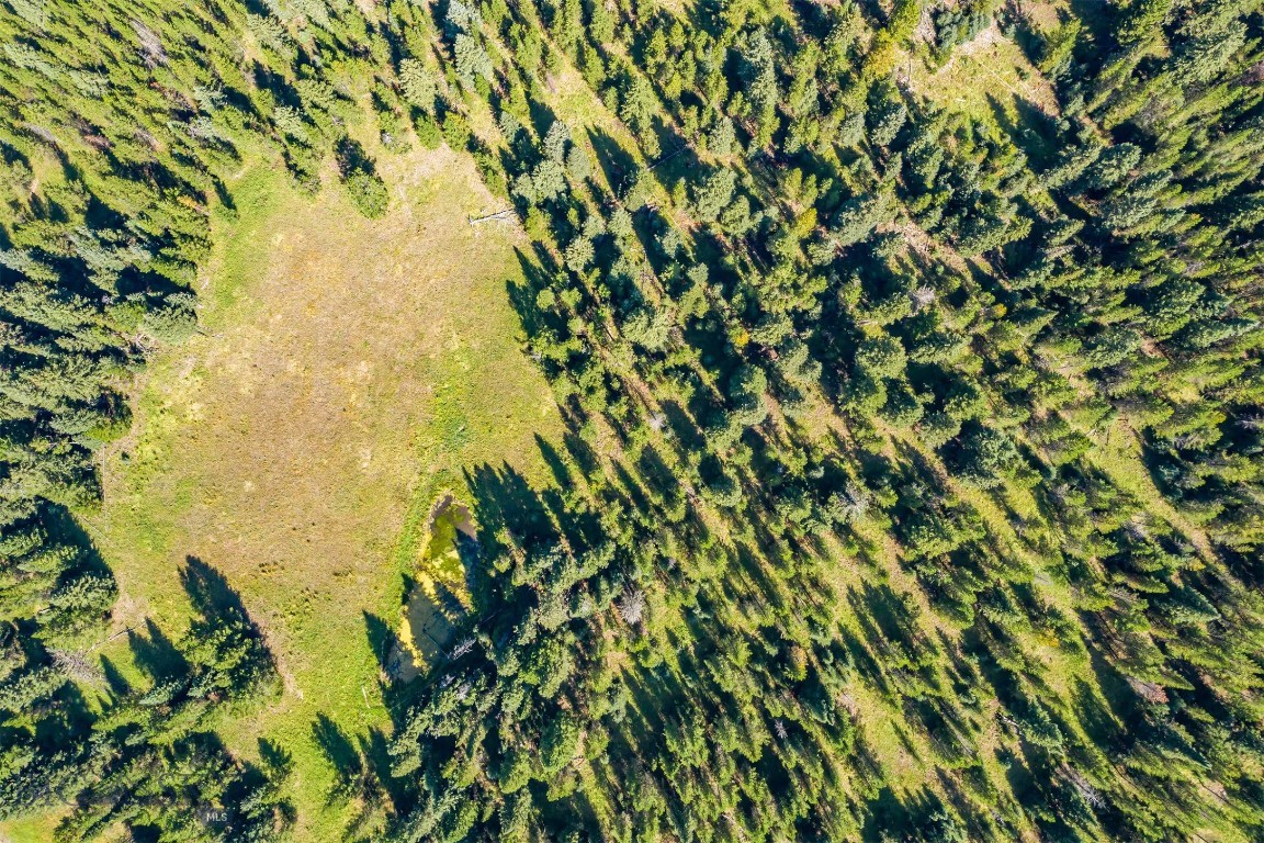 Skywood Preserve - Land