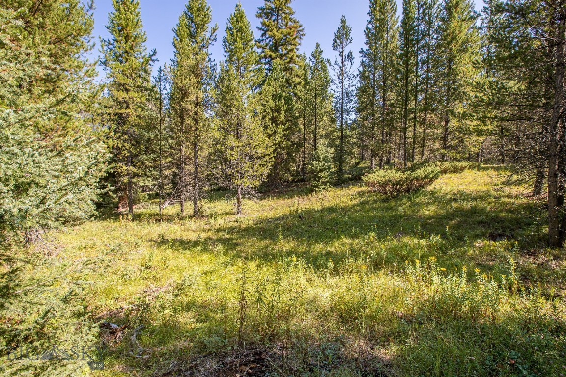 Skywood Preserve - Land