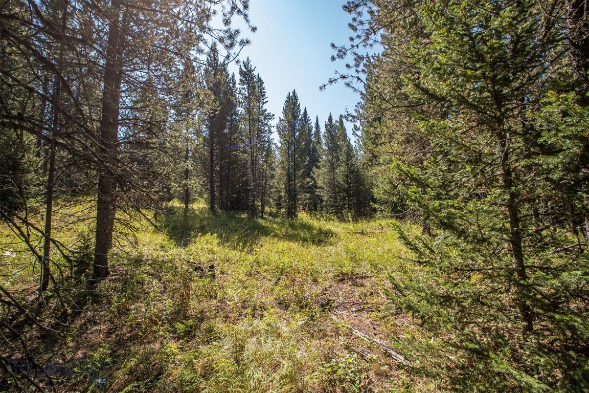 Skywood Preserve - Land