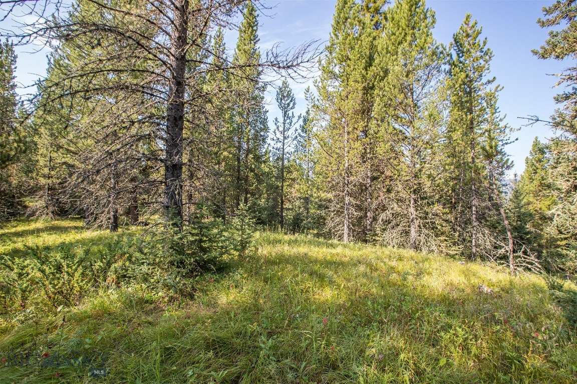 Skywood Preserve - Land