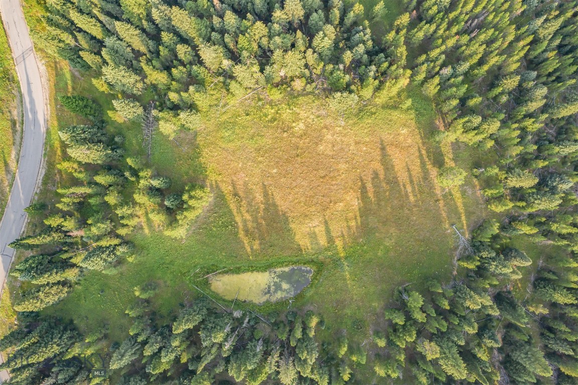 Skywood Preserve - Land