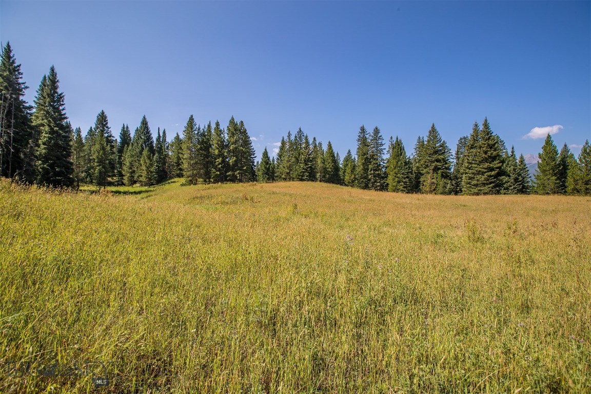 Skywood Preserve - Land