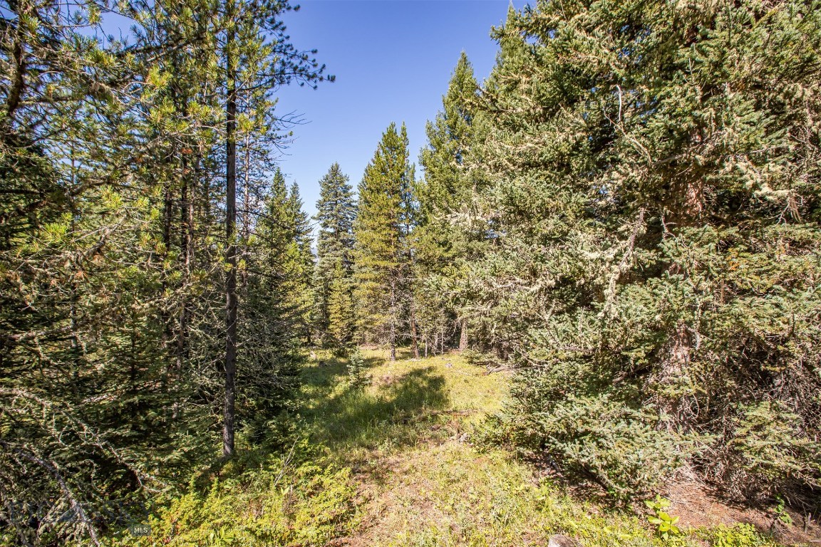 Skywood Preserve - Land