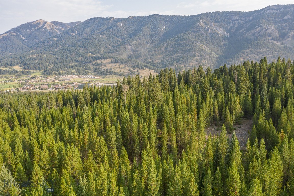 Skywood Preserve - Land