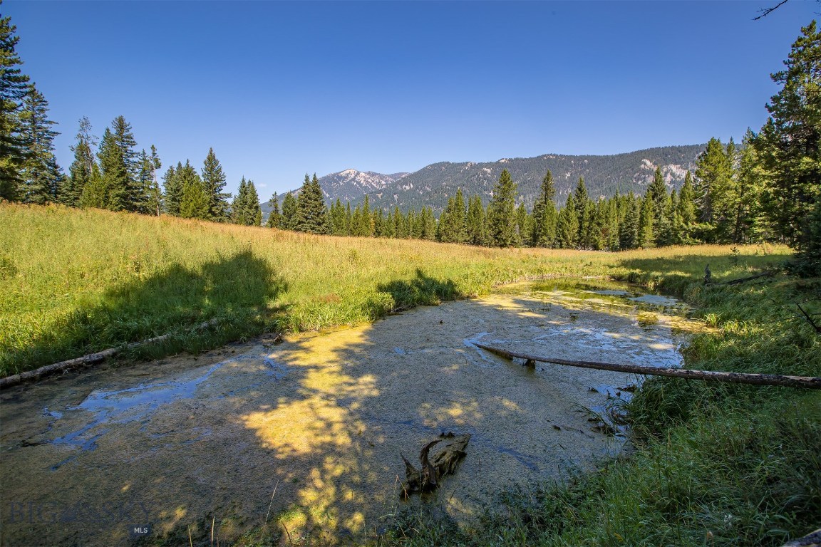 Skywood Preserve - Land