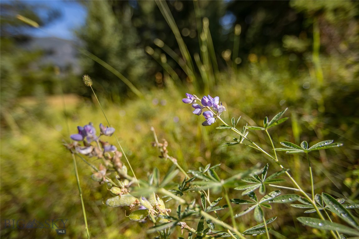 Skywood Preserve - Land