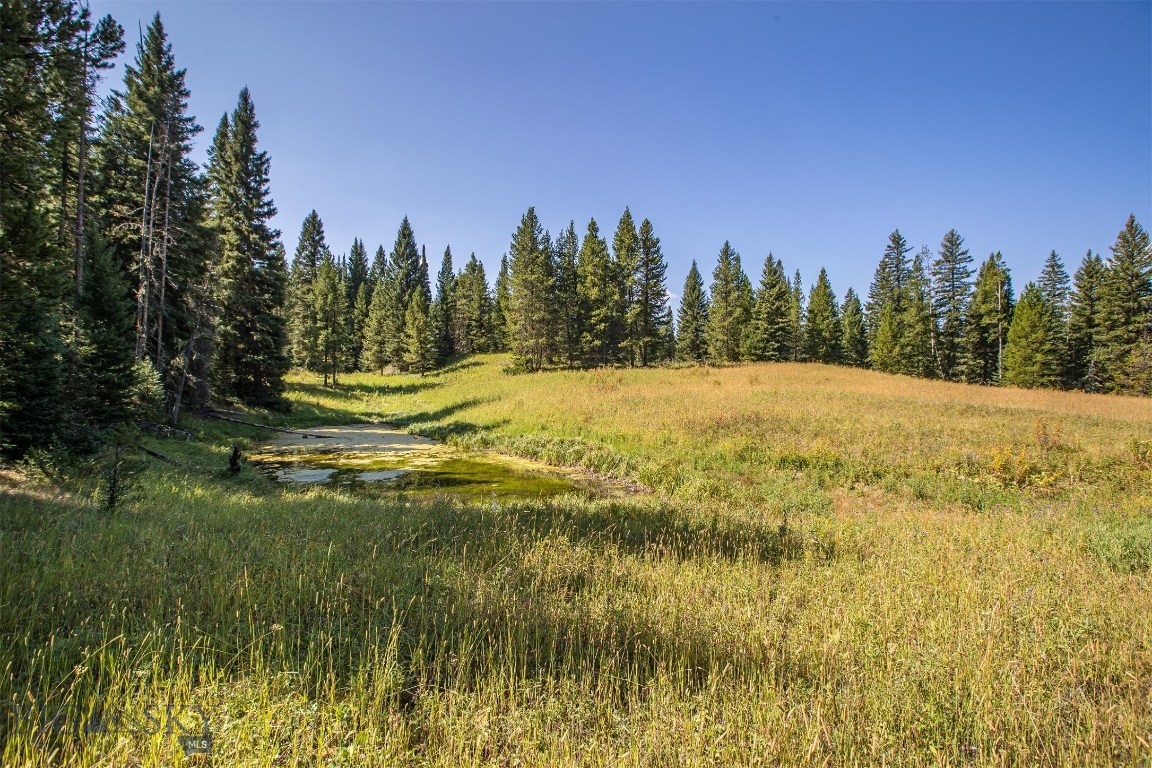 Skywood Preserve - Land