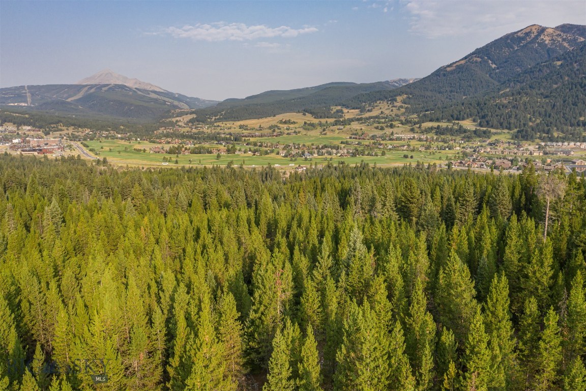 Skywood Preserve - Land
