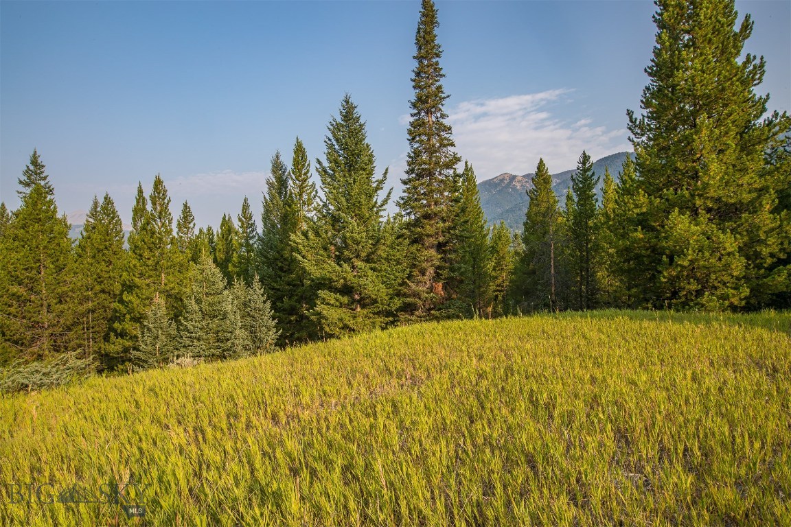 Skywood Preserve - Land