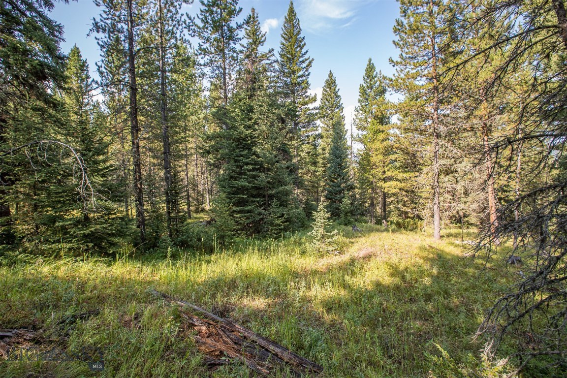 Skywood Preserve - Land