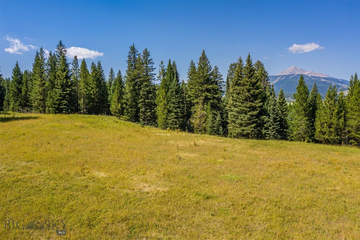 Skywood Preserve - Land