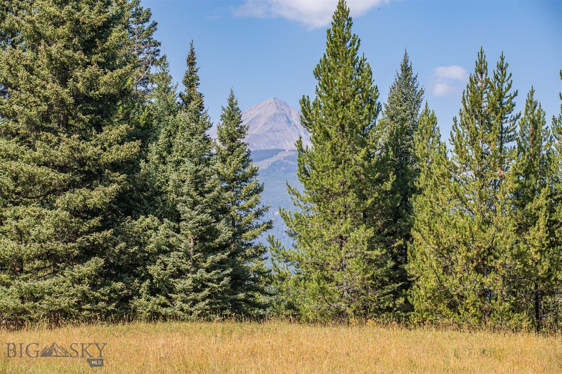Skywood Preserve - Land