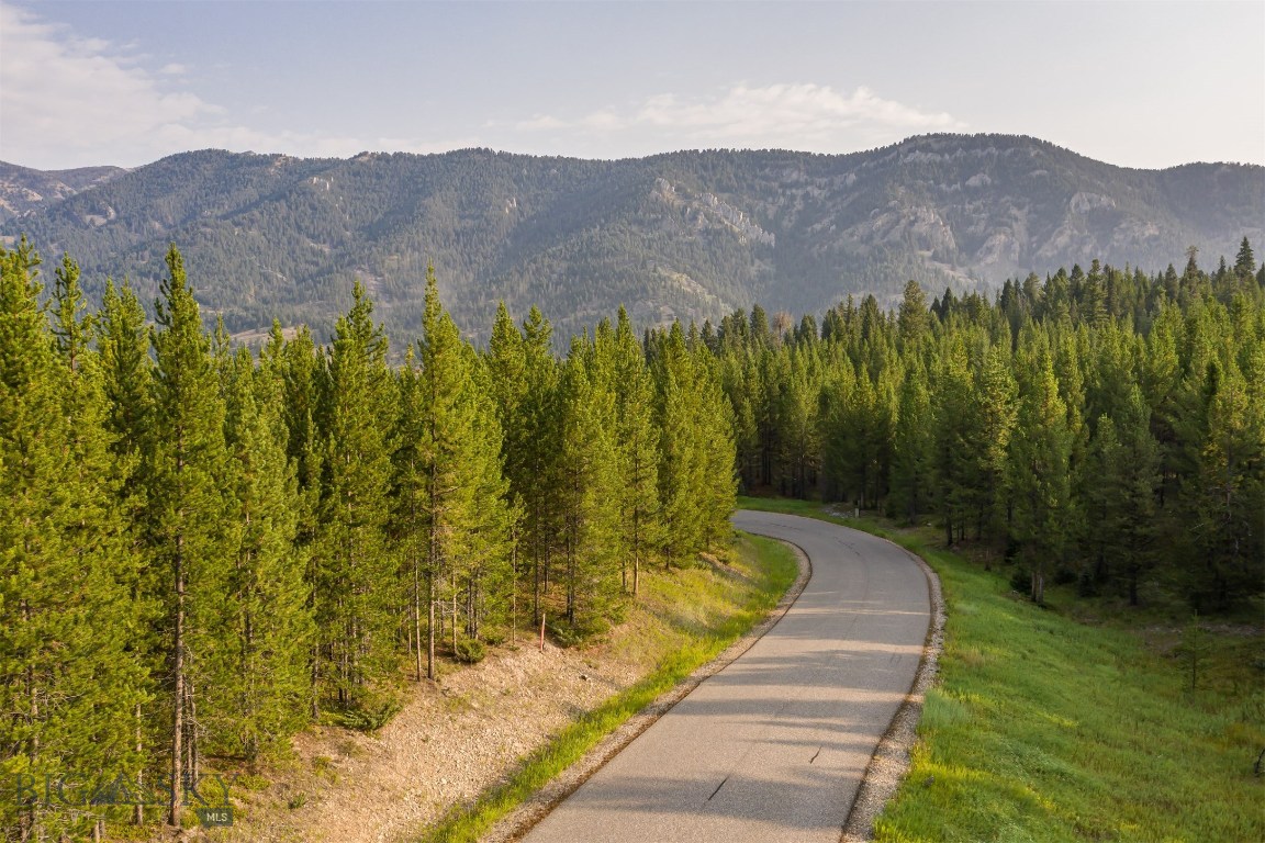 Skywood Preserve - Land