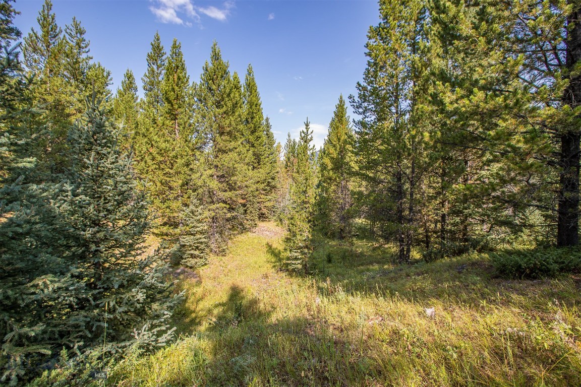 Skywood Preserve - Land