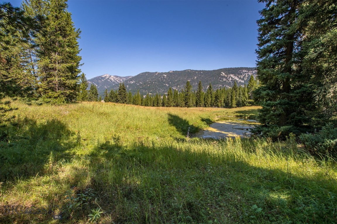 Skywood Preserve - Land