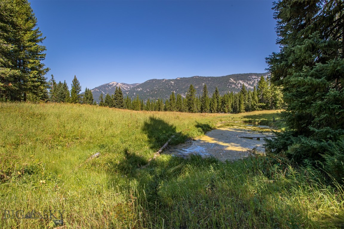Skywood Preserve - Land