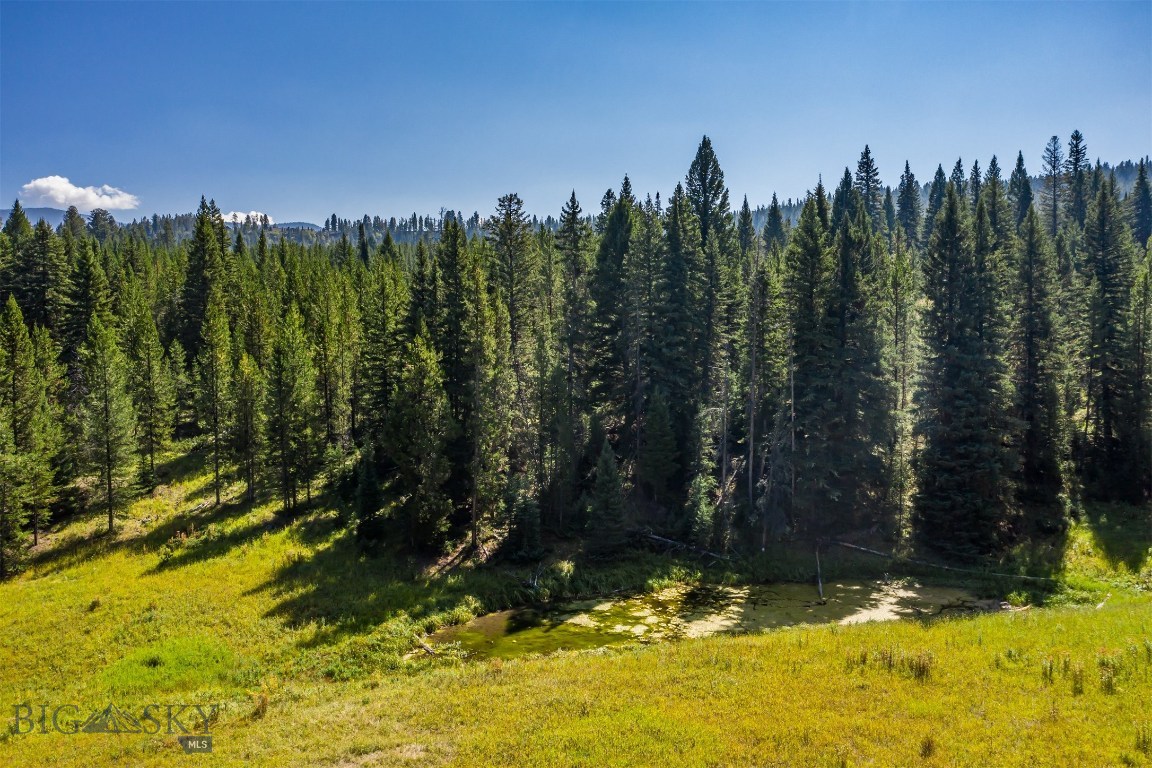 Skywood Preserve - Land