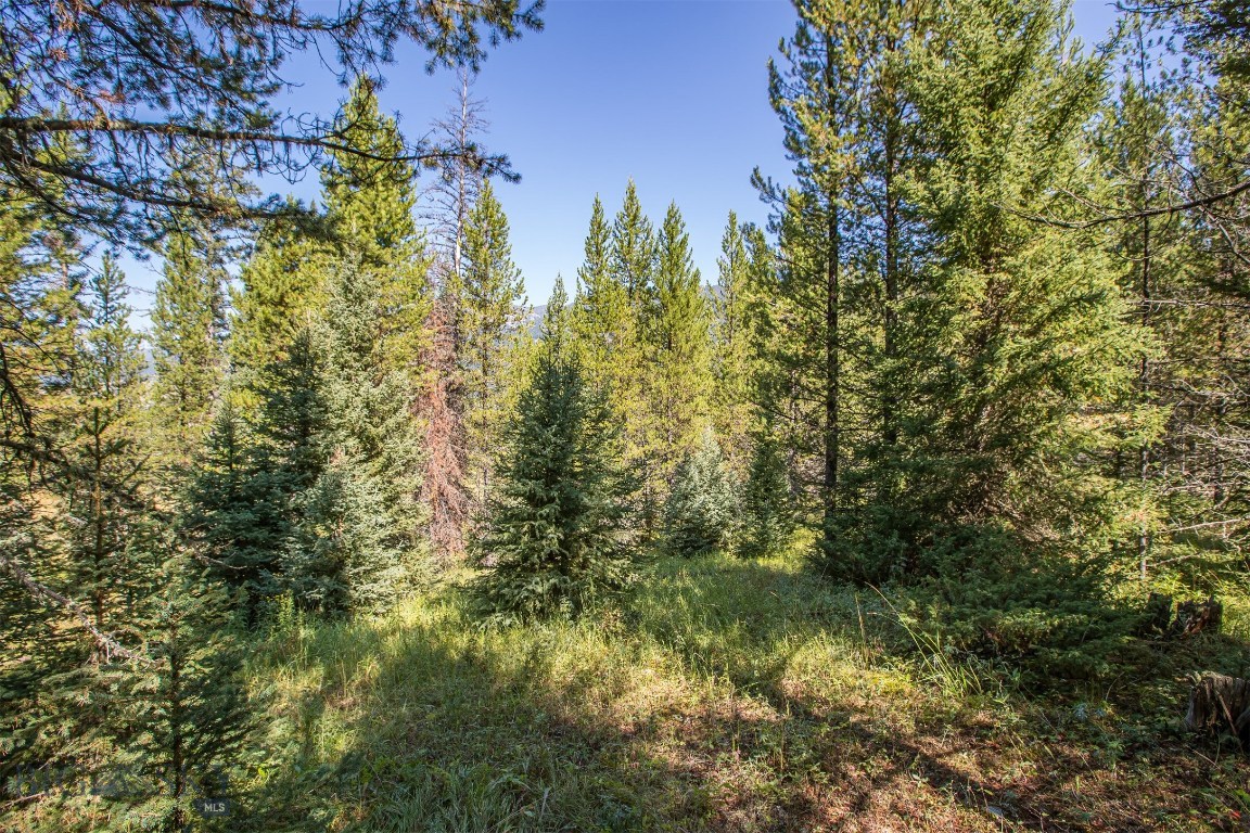 Skywood Preserve - Land