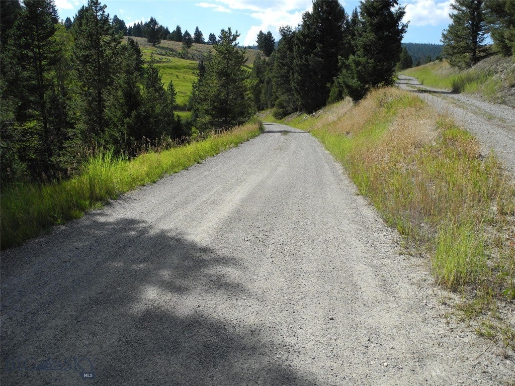 TBD Appaloosa Trail