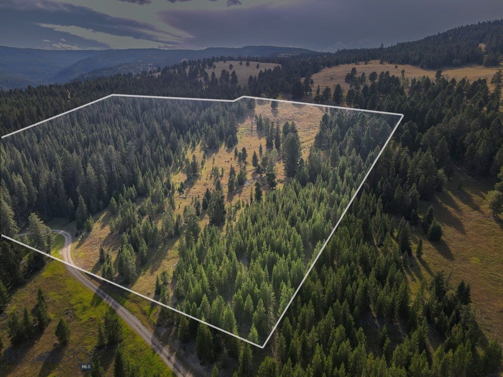 TBD Appaloosa Trail