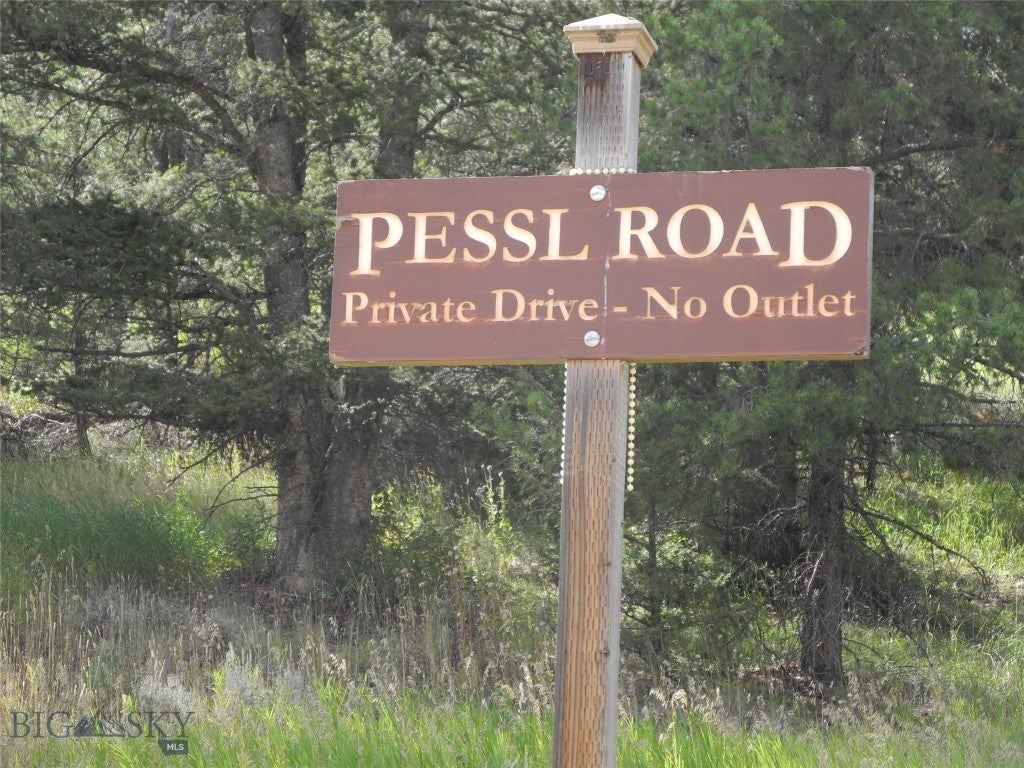 TBD Appaloosa Trail