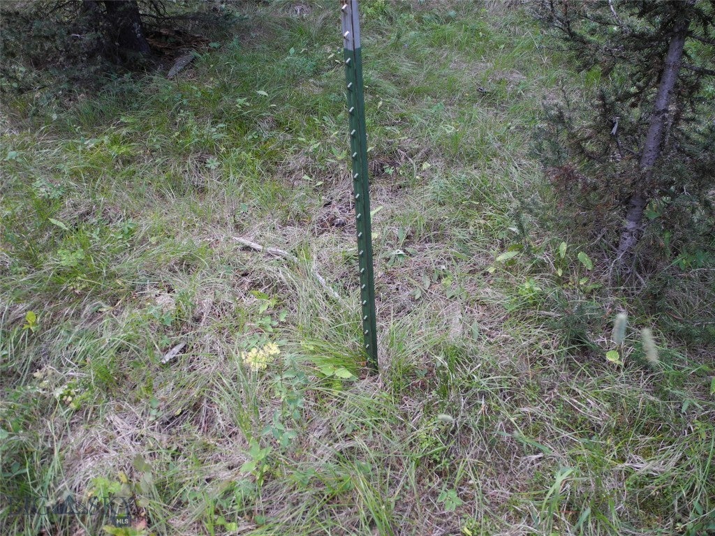 TBD Appaloosa Trail