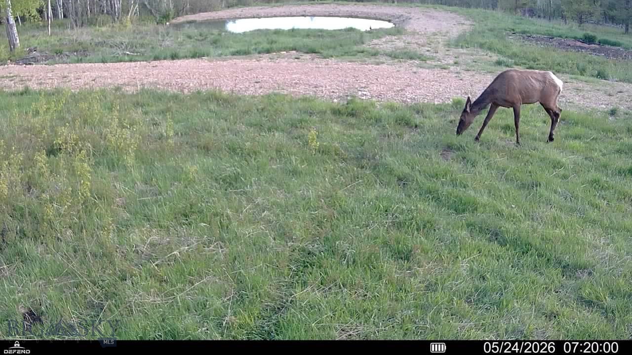 None - Land