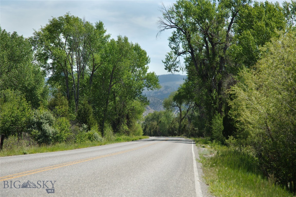 Ponderosa Pines - Residential
