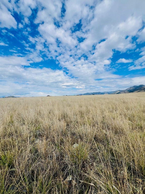 Mustang Ranches - Land