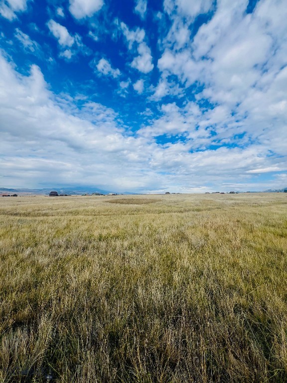 Mustang Ranches - Land