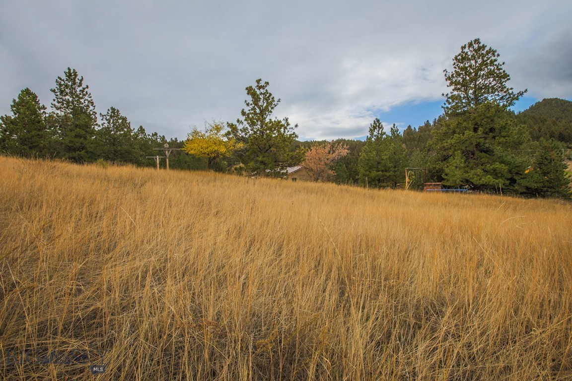 Minor Subdivision - Residential