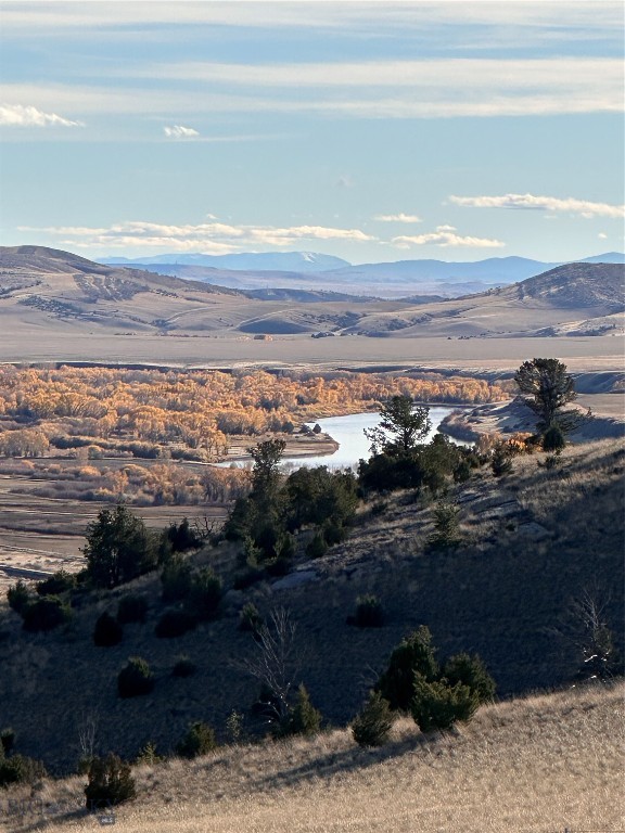 Ponderosa Pines - Residential