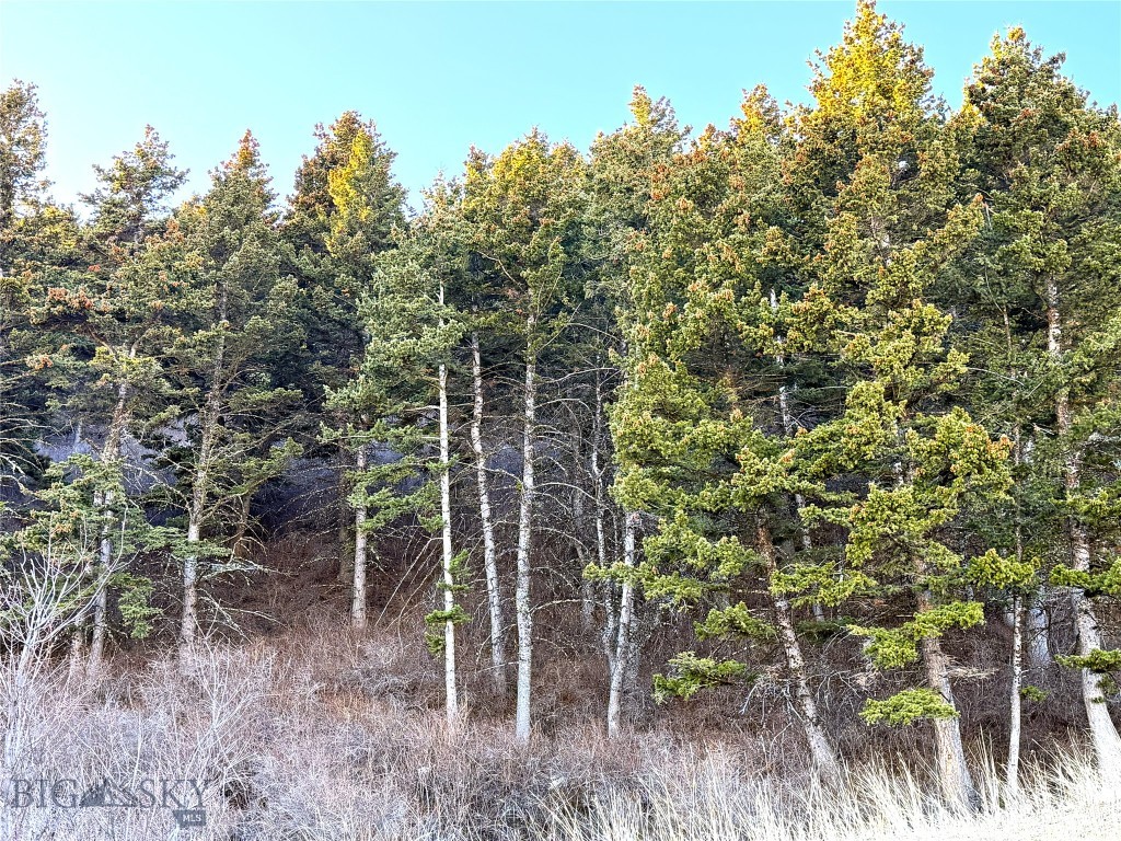 Yellowstone Basin Properties - Land